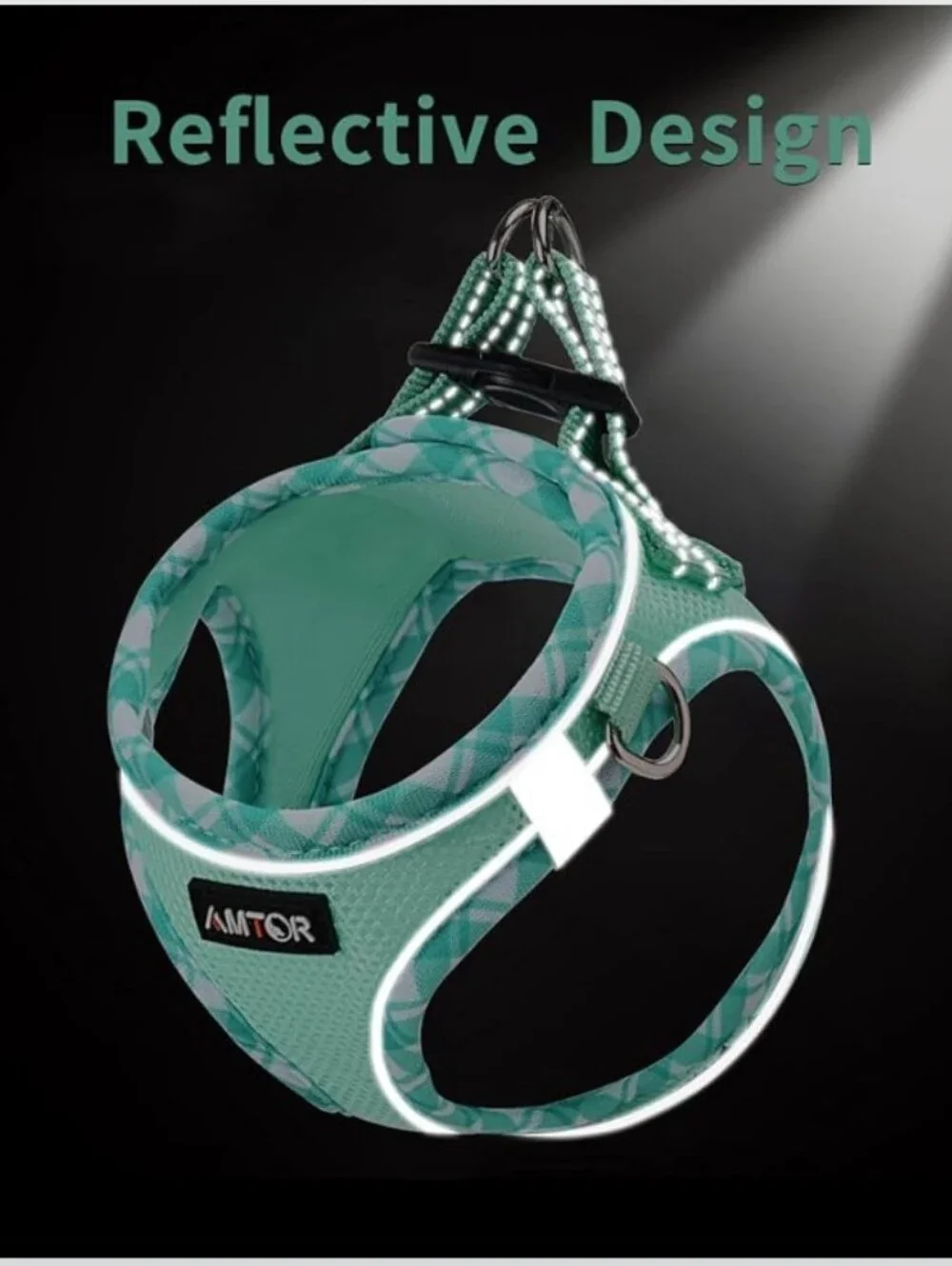 AMTOR Mint Green Dog Harness & Leash Set
